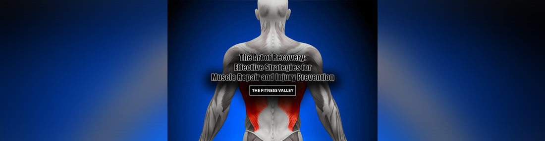 The Art of Recovery: Effective Strategies for Muscle Repair and Injury Prevention